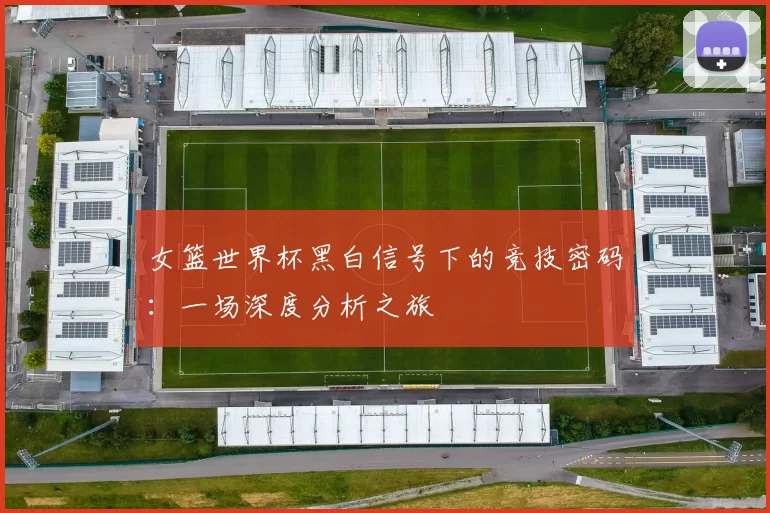 女篮世界杯黑白信号下的竞技密码:一场深度分析之旅