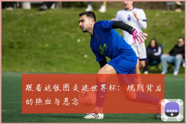 跟着这张图走进世界杯:规则背后的热血与悬念