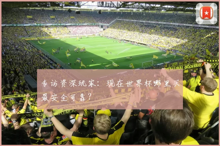 专访资深玩家:现在世界杯哪里买最安全可靠?