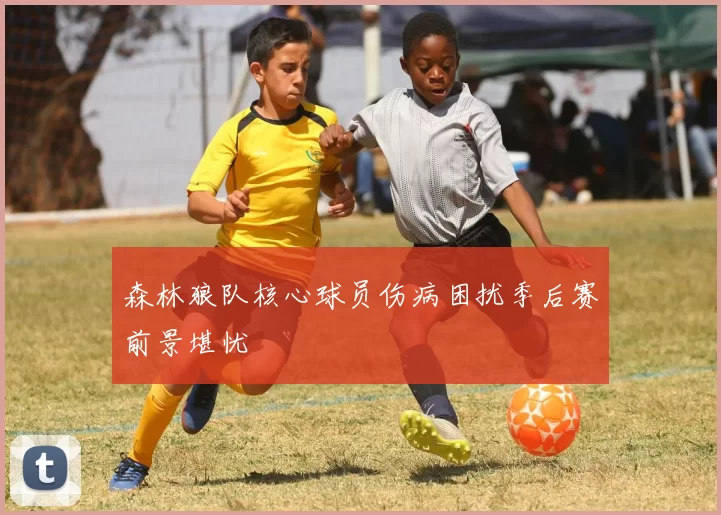 森林狼队核心球员伤病困扰季后赛前景堪忧