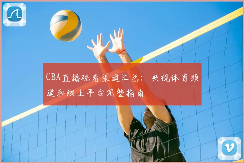 CBA直播观看渠道汇总:央视体育频道和线上平台完整指南