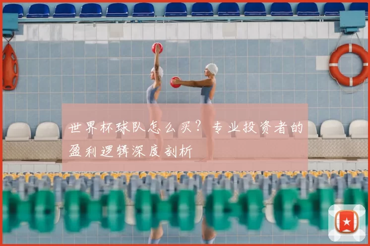 世界杯球队怎么买?专业投资者的盈利逻辑深度剖析