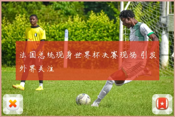 法国总统现身世界杯决赛现场 引发外界关注