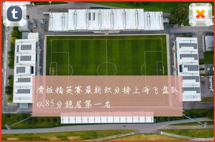 滑板精英赛最新积分榜上海飞盘队以85分稳居第一名