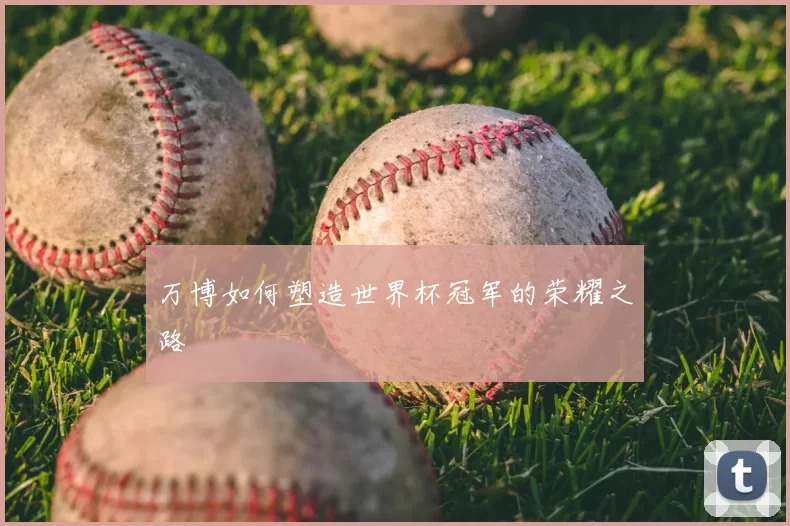 万博如何塑造世界杯冠军的荣耀之路