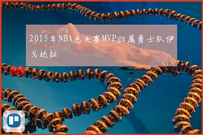 2015年NBA总决赛MVP归属勇士队伊戈达拉