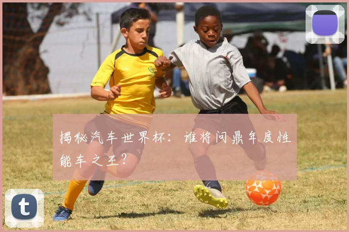 揭秘汽车世界杯:谁将问鼎年度性能车之王?