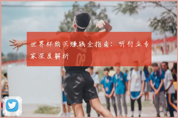 世界杯购买赚钱全指南:听行业专家深度解析