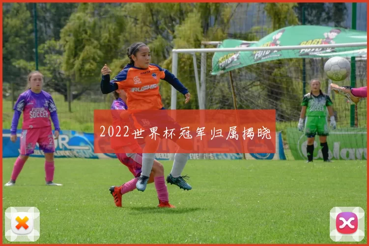 2022世界杯冠军归属揭晓