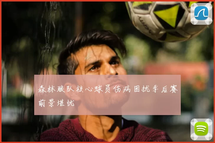 森林狼队核心球员伤病困扰季后赛前景堪忧