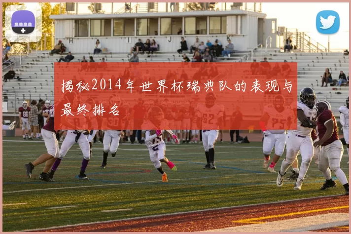 揭秘2014年世界杯瑞典队的表现与最终排名